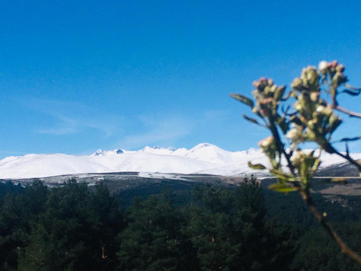 Cara Norte De Gredos Hoyos del Espino Exterior photo